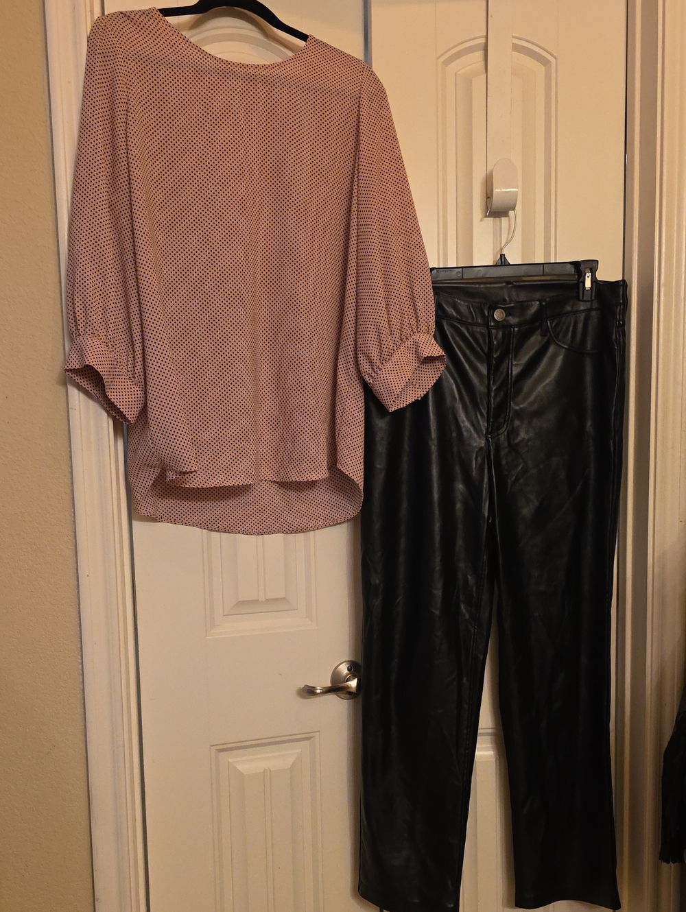 Joie Black Faux Leather pants With A Adianna Papell Pink And Black blouse